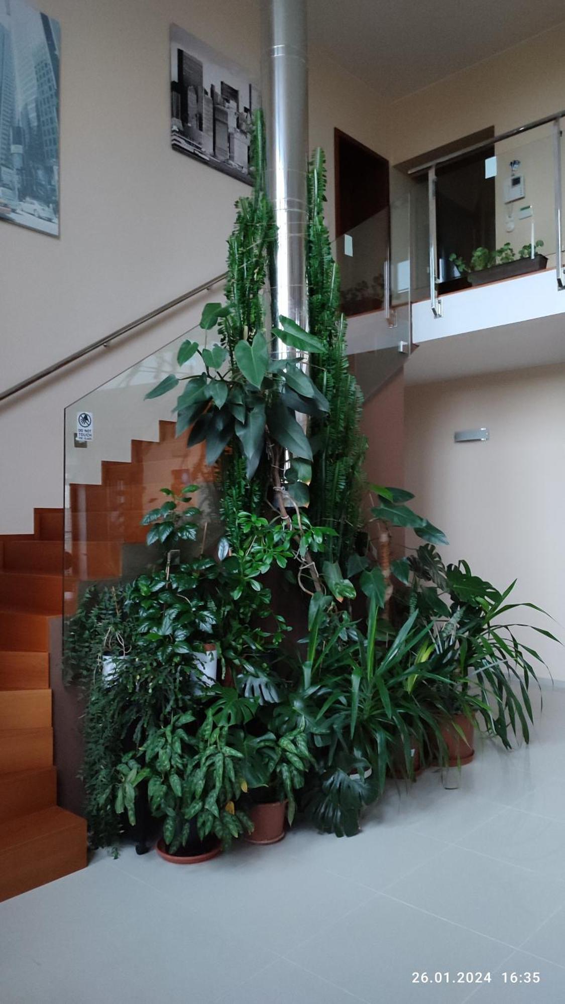 Villa Homestay Nad Helmrovkou ปราก ภายนอก รูปภาพ