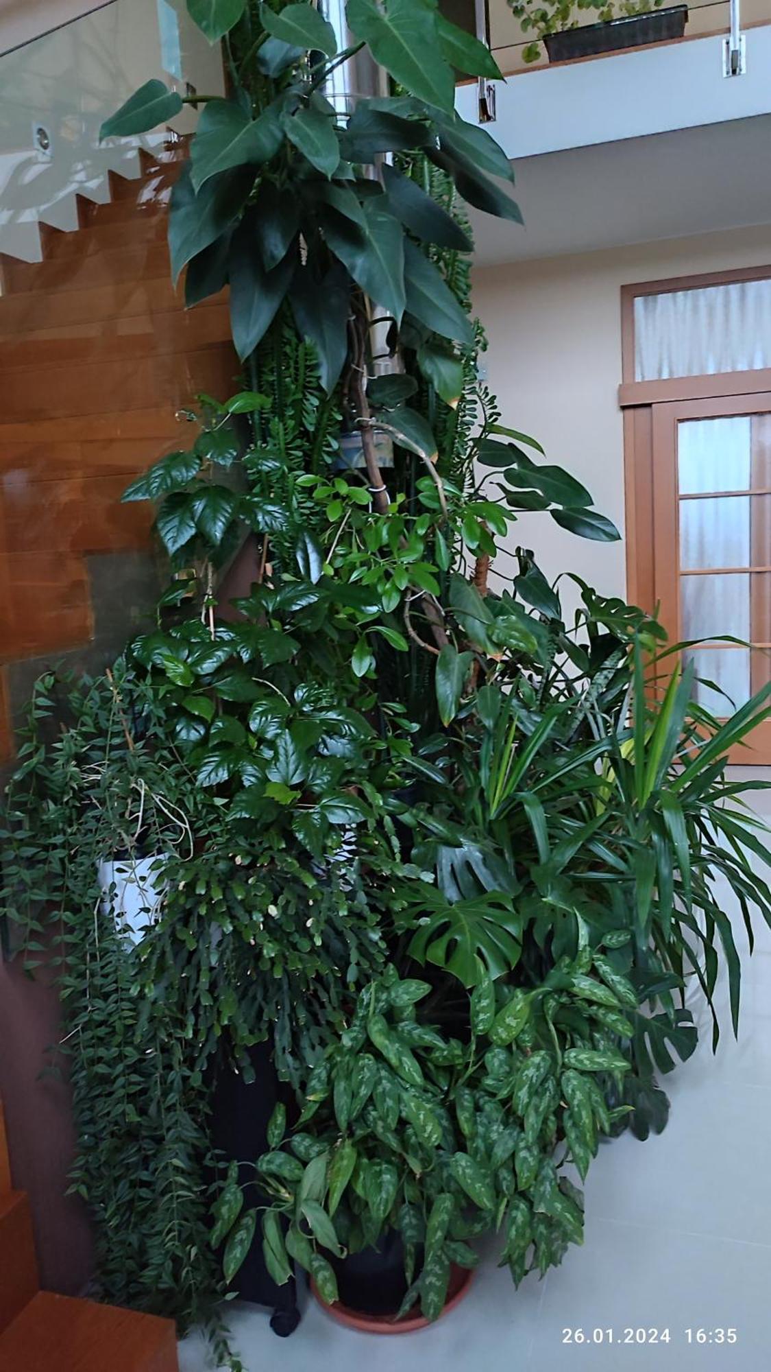 Villa Homestay Nad Helmrovkou ปราก ภายนอก รูปภาพ